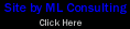 ML Consulting